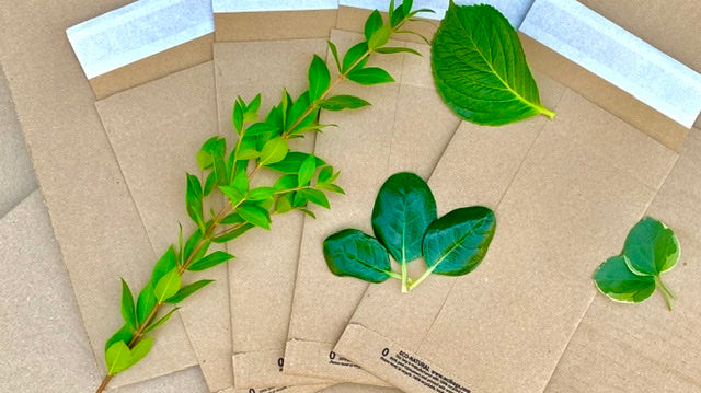 Sustainable Packaging