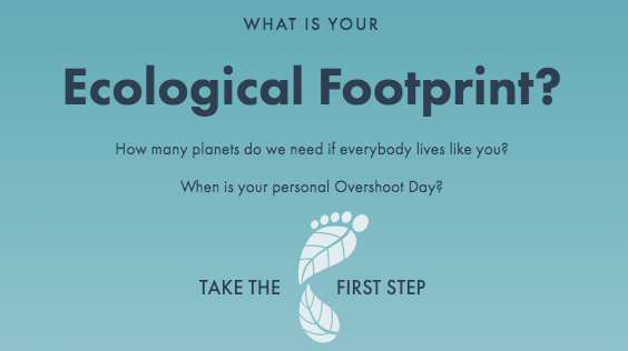 The Ecological Footprint Quiz: Understanding How You Can Make a Difference