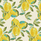 Yellow lemons with green leaves over white background.
