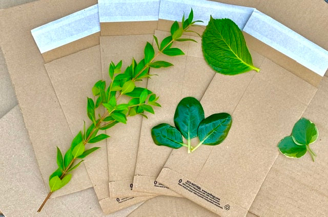 Sustainable Packaging