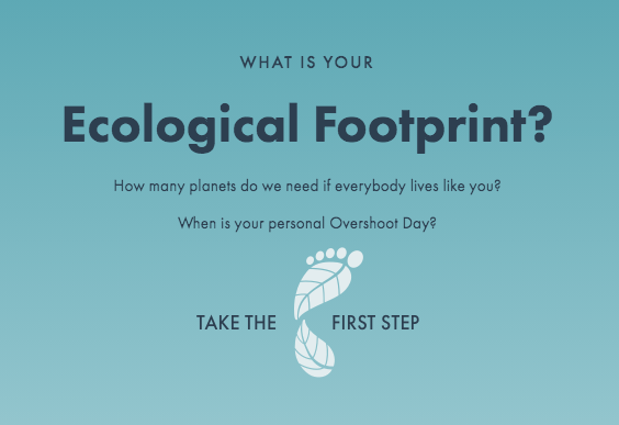 The Ecological Footprint Quiz: Understanding How You Can Make a Difference