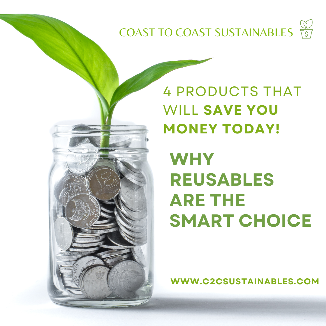 4 Products That Will Save You Money TODAY: Why Reusables Are the Smart Choice
