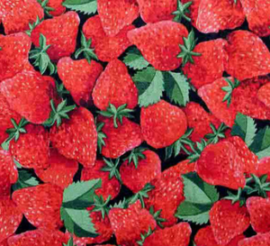 Boo Boo Bag - Strawberries