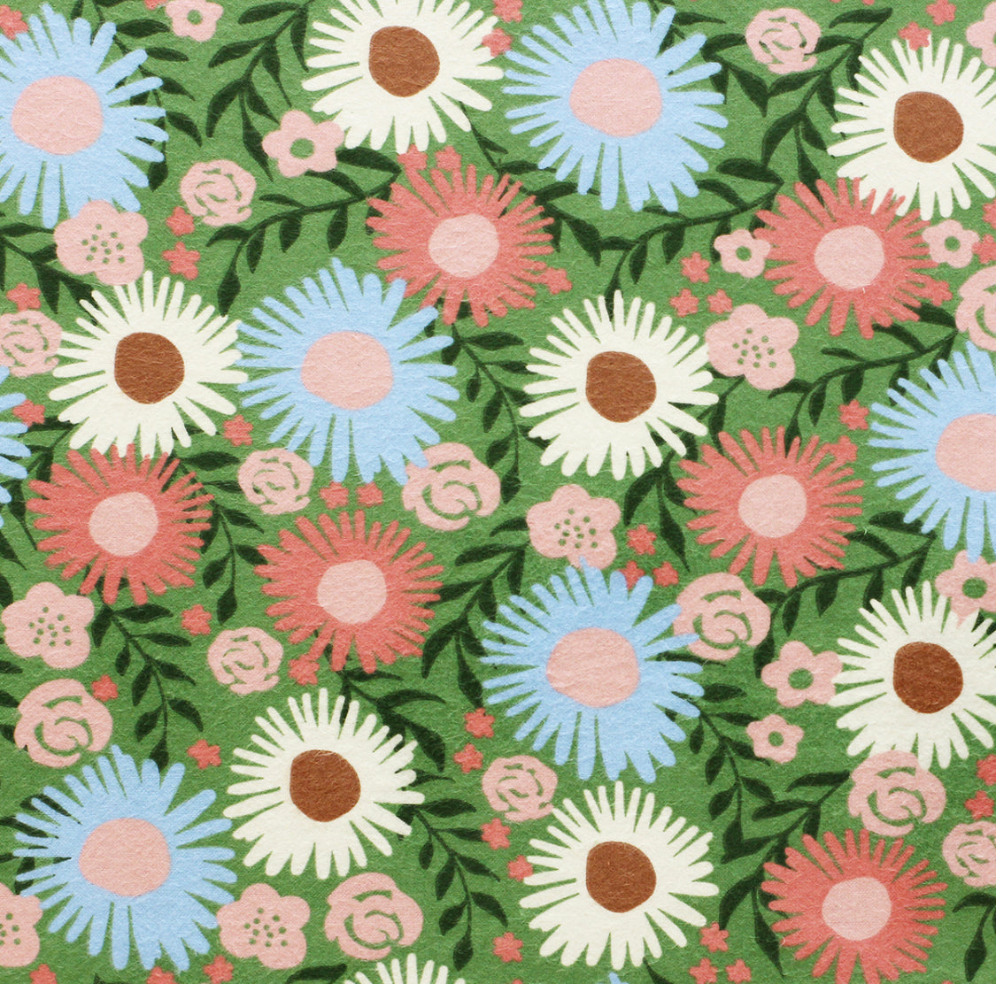 Daisy Bloom